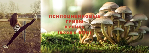 тгк Протвино