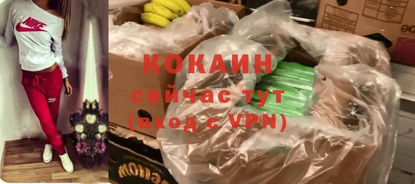 дурь Заводоуковск